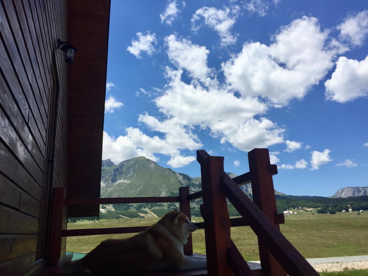 B&B Izvor Zabljak  Bagian luar foto